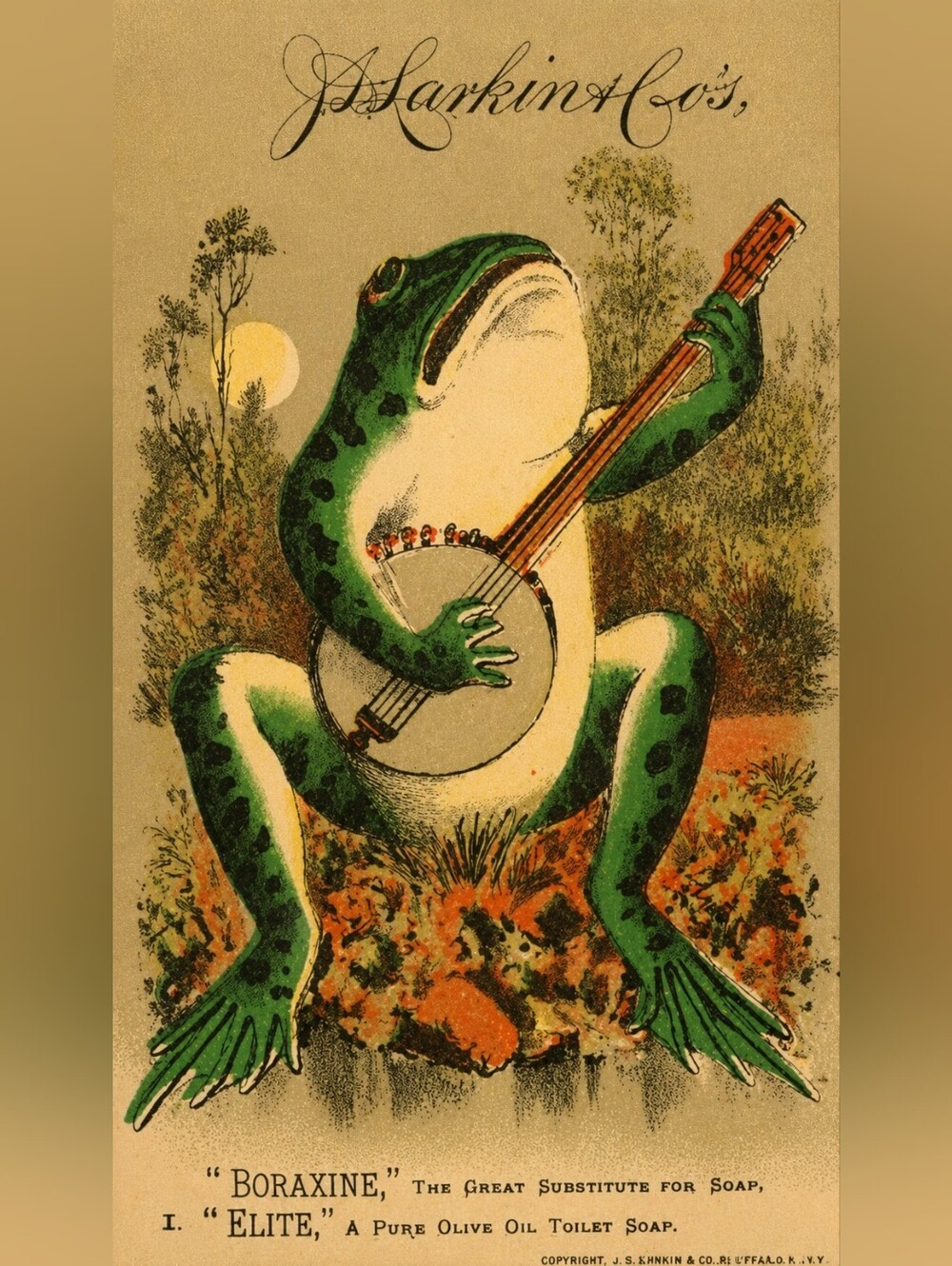 Green Frog Reptile Art Print - Green